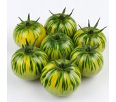 25 Semillas de Tomate Cebra Verde - Permacultura SemiSauvage