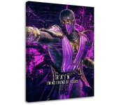 Cuadros en Lienzo Juego Mortal Kombat El personaje Rain 40x60 color rosa