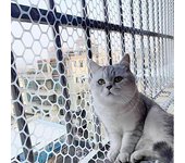 Malla de seguridad para gatos, buena dureza, corte libre, plástico para bebés, mascotas, balcón, ventana, malla anticaída, suministros para el hogar 50cm blanco