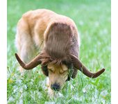 1 sombrero de poliéster con forma de cuerno para mascotas, peluca para perros y gatos, tocado, suministros divertidos para vestir L
