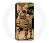 Coque pour Huawei P8 Lite 2017 Bengal Race de chats dessin Animé