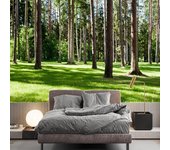 Papel tapiz de bosque 3D, murales de paisajes naturales de bosque verde, fondo de pared para sala de estar y dormitorio, decoración del hogar 200 cm(W) x 140 cm(H)