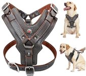 Arnés duradero para perros grandes, arneses de cuero genuino, Chaleco de Entrenamiento de mascotas con mango de Control rápido para Labrador Pitbull L marrón