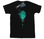 Harry Potter Boys Hogwarts Crest Mist T-Shirt 12-13 negro