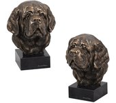 St. Bernard, Saint Bernard, Alpine Mastiff, Bernhardiner - Dog statue, bust on stone base, sculpture, trophy for dog show by Art-Dog brand marrón