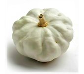 15 Semillas de Calabaza Blanca - Permacultura SemiSauvage