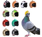 Casco para loros, sombrero para palomas, equipo de protección para mascotas, protector solar, casco contra la lluvia, juguete para pájaros, suministros para mascotas pequeñas, accesorios de ropa A