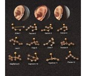 Pendiente de hélice de cartílago de circonio de doce constelaciones de acero inoxidable creativo, joyería Piercing de astrología 11 plata