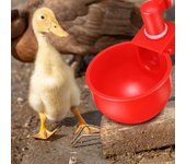 Bebedero para pollos automático de fácil instalación, práctico alimentador de pollos de calidad alimentaria para el hogar rojo