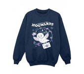 Harry Potter Boys Owl Letter From Hogwarts Sweatshirt 12-13 negro