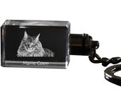 Maine Coon - Crystal pendant with cat photo, illuminated pendant, unique gift by Art-Dog brand transparente