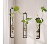 Jarrón de cristal creativo para colgar en la pared, para el hogar, sala de estar, hidropónico, creativo, decorativo, nórdico, transparente