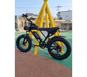 Bicicleta eléctrica Ridstar Q20, potente motor de 1000 W, freno de aceite de 48 V y 20 Ah, neumáticos anchos de 20 x 4,0 pulgadas, bicicleta eléctrica para montaña y nieve 1000W20AH
