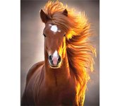 Pintura de diamante 5D DIY  caballo  Bordado Punto de cruz Decoración del hogar 5D 20X30CM