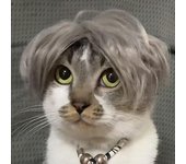 Pelucas para mascotas, accesorios para juegos de rol, perros y gatos divertidos, sombreros para el pelo de travestismo, disfraces, artículos para mascotas, accesorios para la cabeza marrón