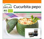 SAFLAX - Garden in the Bag - Orgánico - Calabacín - Tondo di Nizza - 5 semillas - Con sustrato en una bolsa de pie adecuada - Cucurbita pepo