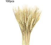 100 piezas de flores secas de trigo artificiales, gavillas de trigo secas realistas para la fiesta de la noche de Navidad