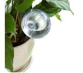 Dispositivo de riego automático, planta de interior, maceta, bombilla, jardín, casa, bebedero