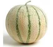30 Semillas de Melón Charentais - Permacultura SemiSauvage