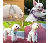 Arnés y correa ajustable para gatos, collar para bulldog francés, chaleco para cachorros, chihuahuas, correa para caminar al aire libre. XXS  0.5-1.5 kg cian