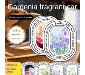 Ambientador para coche Aromaterapia para coche Colgante para coche Perfume para coche para hombres y mujeres Adornos de perfume ligeros de larga duración Fragancia desodorante