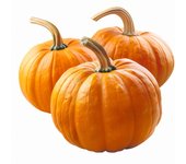 12 Semillas de Calabaza - Permacultura SemiSauvage