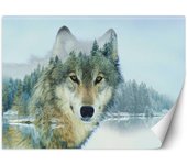Fondo de pantalla Lobo sobre un fondo de bosque 100x70 azul