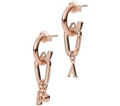 Pendientes de mujer Emporio Armani EG3531221