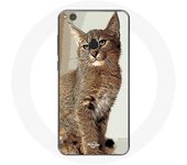 Coque pour Huawei P8 Lite 2017 Siamois Race de chats