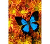 DIY 5D Diamond Painting Sunflower & Butterfly Full Round Drill Cross Stitch Diamond Bordado 20X30CM