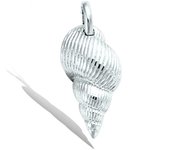 Les Trésors De Lily [Q7610] - Pendentif argent 'Coquillage' argenté (rhodié) - 17x9 mm plata