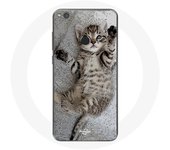 Coque pour Huawei P8 Lite 2017 chaton Bengal dormir
