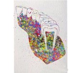Pintura de diamante con dientes de acuarela, imagen médica, bordado de diamantes 5D, patrón de taladros redondos completos 20X30CM