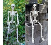 Esqueleto de articulaciones móviles realistas para decoración de cementerio de Halloween, esqueleto de plástico para instalación fácil y ajustable en interiores
