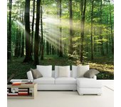 Papel pintado con foto 3D de bosque verde y luz del sol para dormitorio, sala de estar, sofá, TV, murales de pared de fondo 200 cm(W) x 140 cm(H)