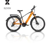 RILCHORN-Bicicleta Eléctrica SUSPENSIÓN COMPLETA, Bicicleta de Aleación de Aluminio de 500W y Media con Motor Intermedio de 29 Pulgadas, Batería de 48V y 15Ah, Novedad 500W 48V 15AH naranja