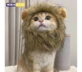Disfraz de gato para disfrazarse de mascota, sombrero de melena de león para cachorro de gato, peluca de león, disfraz para fiesta, decoración de Halloween, Navidad, suministros para gatos y mascotas S marrón