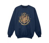 HARRY POTTER Sudadera con el escudo de Hogwarts dorado para niños 12-13 negro