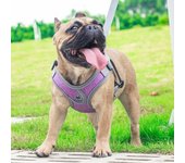 Arnés para perros transpirable con correa, chaleco Oxford reflectante, arnés para perros, tamaño ajustable, perros pequeños y medianos XS (no Leash) gris
