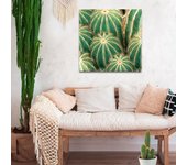 Les Trésors De Lily [A2235] - Toile photo 'Cactus' vert - 60x60 cm verde