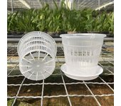 Maceta de malla de 11/14 cm para control de raíces, transparente, para orquídeas, transpirable, de plástico, para jardín L