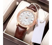 Nuevo Reloj de lujo para mujer con caja, completamente automático, informal, a la moda, hueco, resistente al agua, relojes mecánicos para mujer