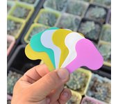100 etiquetas para plantas, para jardinería, plantación, flores, árboles, verduras y granjas. blanco