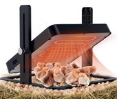 Calentador para criadero de pollos, calentador para pollitos con temperatura, altura y ángulo ajustables, placa calefactora para criadero