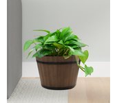 Macetas para plantas, obras de arte para la decoración del hogar, jarrones, jardín, cocina y sala de estar 6 Inch