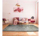 Tapis de Salon ou Chambre Shaggy - Neo Yoga- Tapis Lavable à Base Fine en Microfibre Poils Longs Extra Doux Gris Clair 190 x 290 cm