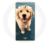 Coque pour Huawei Mate 8 golden retriever Chiot