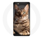 Coque pour Huawei P8 Lite Bengal Race de Chats