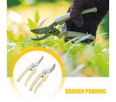 Tijeras de podar para ramas, tijeras para recoger frutas, flores, árboles, ramas de jardín, injerto, tijeras de jardinería, herramienta de mano