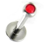 Les Trésors De Lily [H9354] - Labret titane 'Mouche' rouge rojo